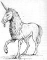 Unicorn WFRP1.jpg