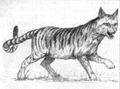 Wild Cat WFRP1.jpg