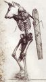 Skeleton Warrior W7.jpg