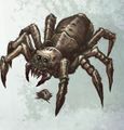 Giant Spider WFRP4.jpg