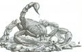 Giant Scorpion.jpg